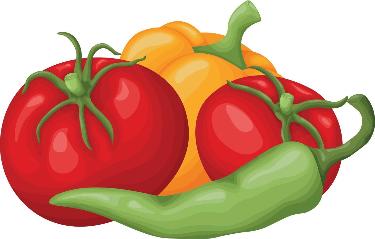 Ripe vegetables. Image of ripe vegetables, such as bell pepper, chili pepper and tomatoes. A set of vegetables. Vector illustration isolated on a white background