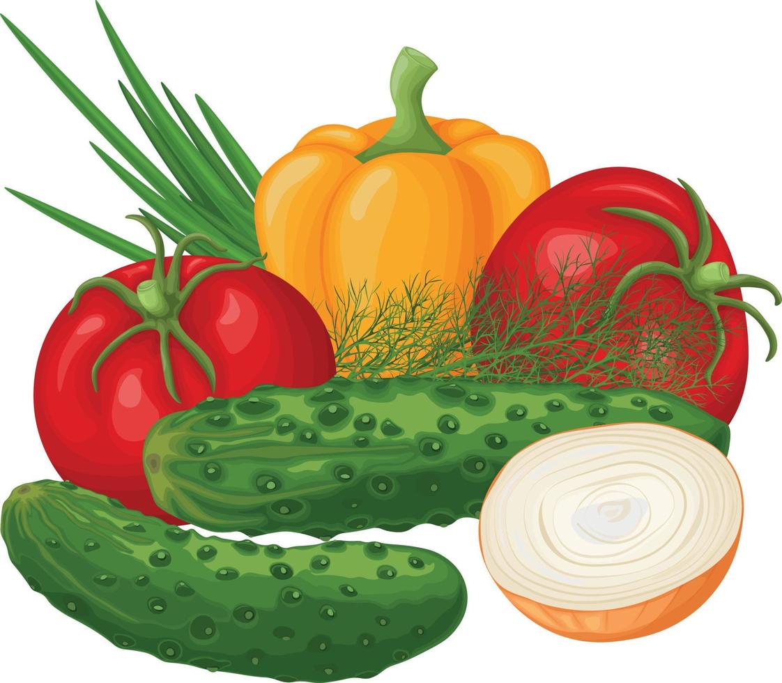Vegetables. An image with ripe vegetables such as cucumbers, tomatoes, bell peppers, onions and dill. Organic products from the garden. Vitamin products. Vector illustration.