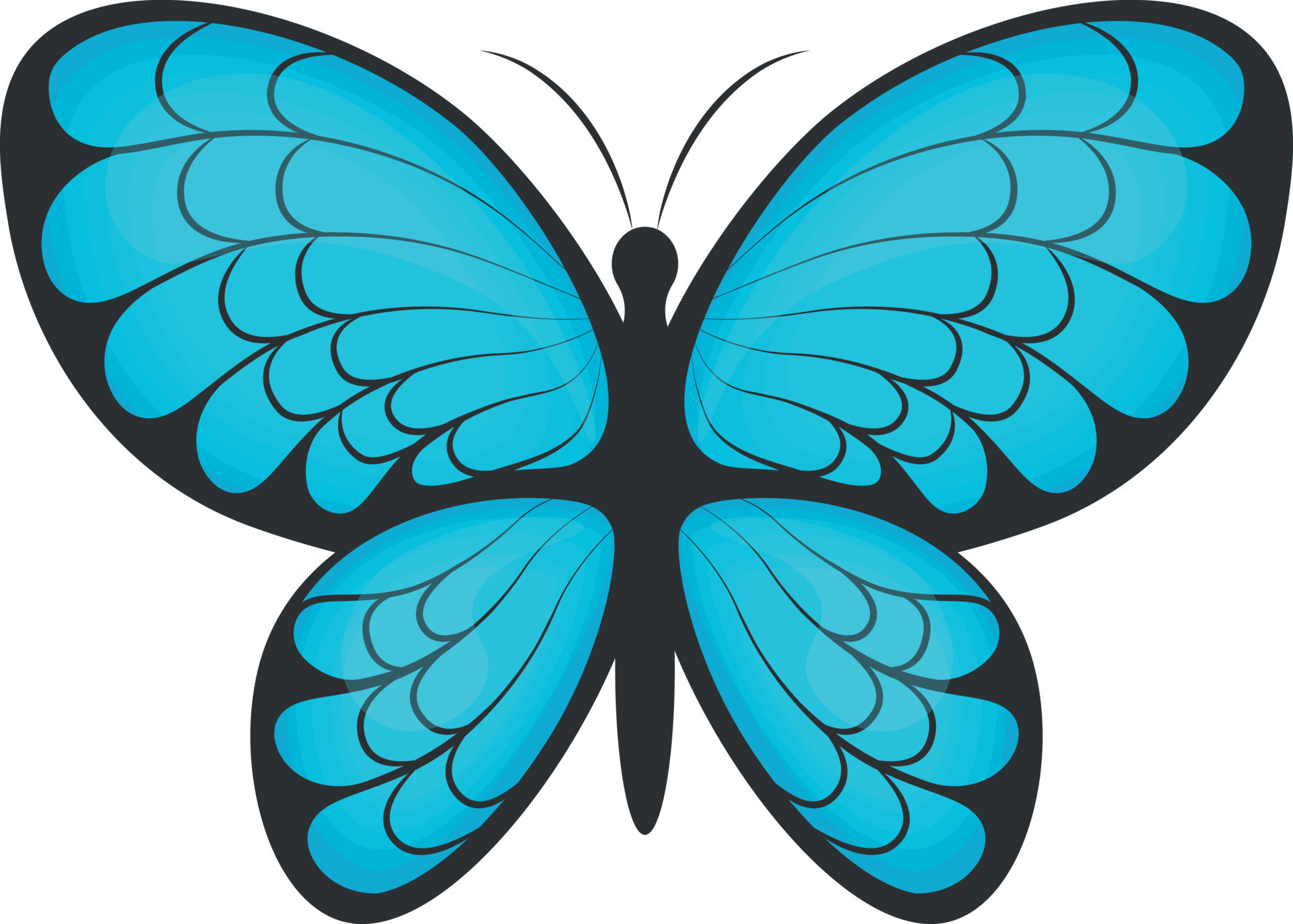 mariposa shoes online