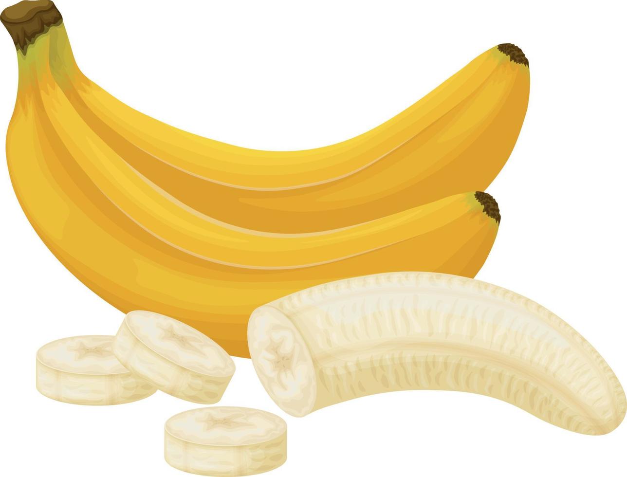 Bananas. Image of bananas. Bananas peeled and cut into pieces. Tropical fruit. Vegetarian product. Vector