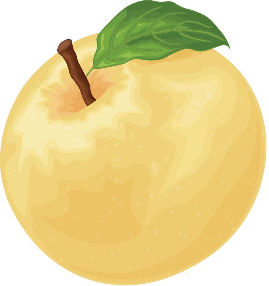 manzana. manzana amarilla madura. la manzana es amarilla con una hoja verde. fruta dulce madura. frutas del jardín. ilustración vectorial aislada en un fondo blanco vector