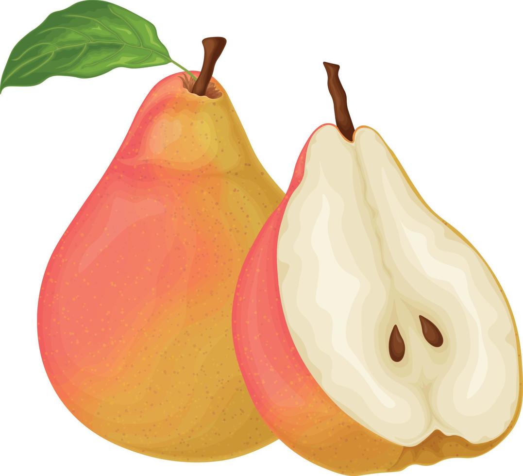 Pear. Image of a red pear. Ripe sweet pear. Fresh garden fruit. Vitamin vegetarian product. Vector illustration isolated on a white background