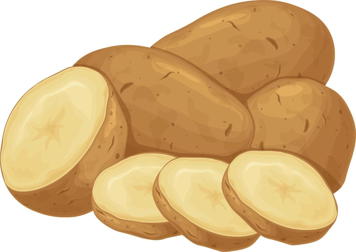 Potato. Potato tubers. A ripe vegetable. Vegetarian product. Sliced potatoes. Vector illustration isolated on a white background