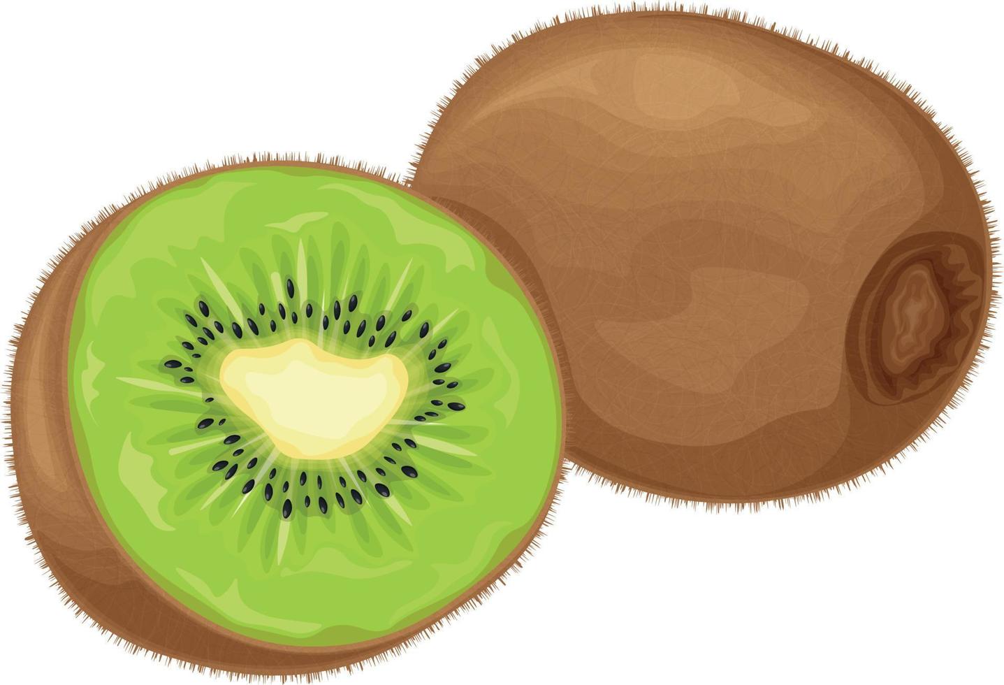 Kiwi fruit. Ripe kiwi. Image of a ripe kiwi fruit. Vitamin fruit. Organic vegetarian products. Vector illustration isolated on a white background