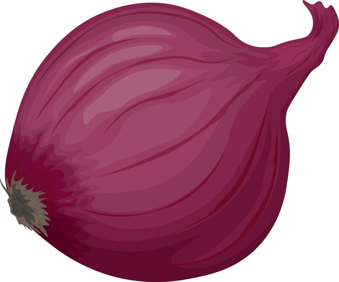 Unpeeled head of red onion. Vegan, vegetarian food. An ingredient for cooking.Bulbous red vegetable.A natural healing remedy. Vector illustration of a bow highlighted on a white background