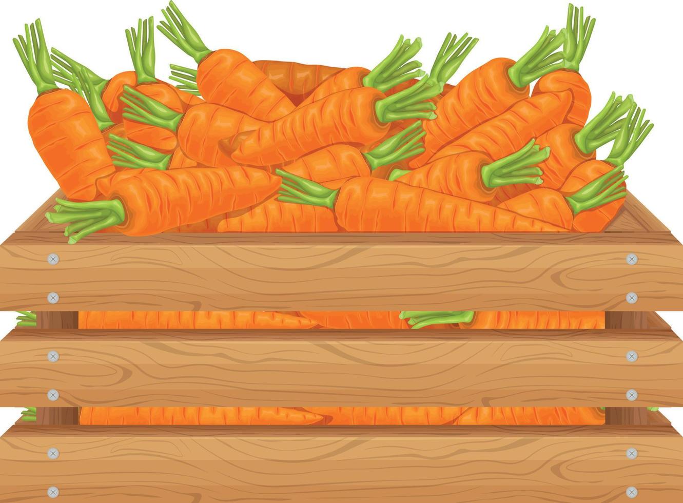 Carrot. Wooden box with carrots. carrots in a wooden box. Fresh vegetables in a box. Vector illustration isolated on a white background