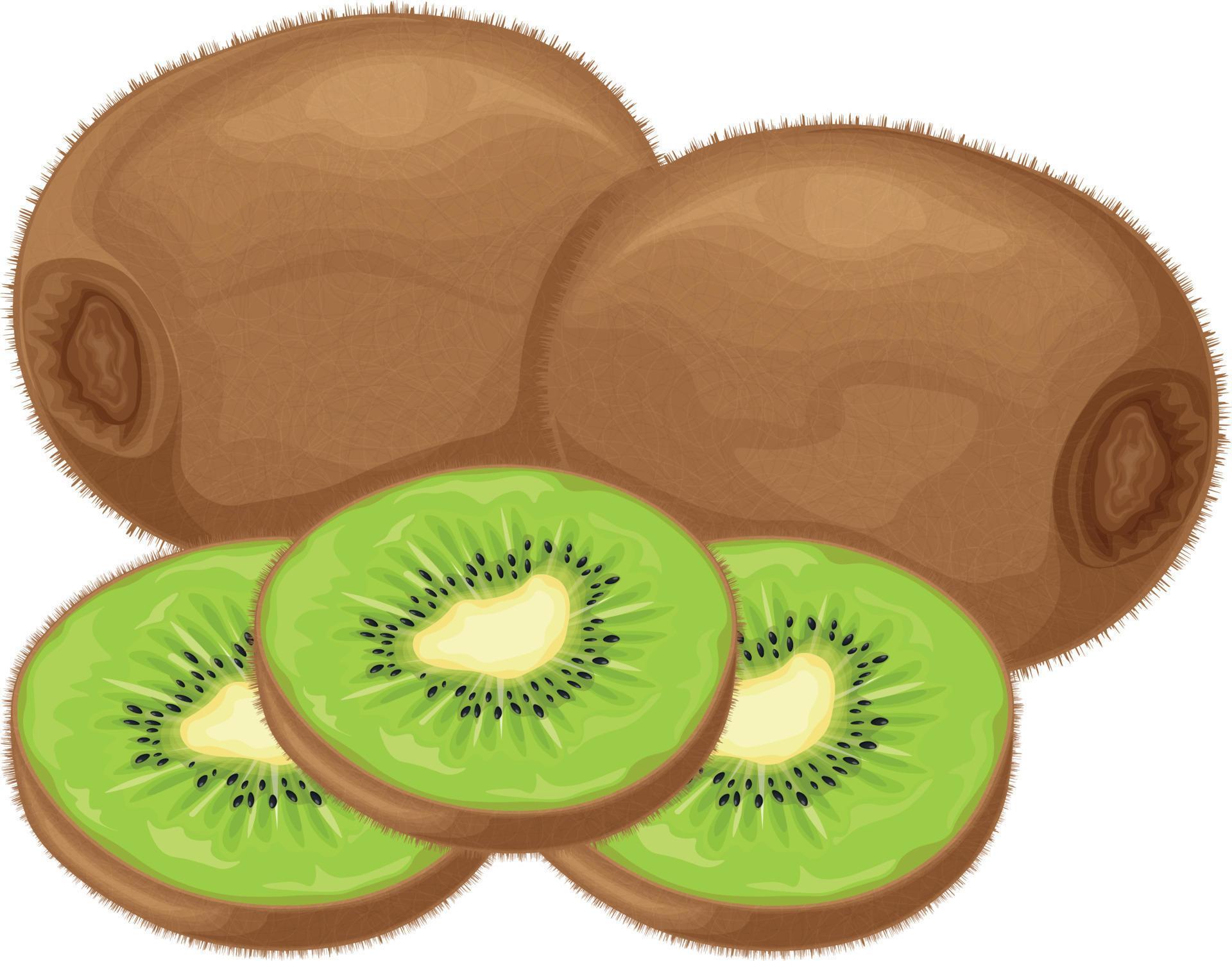 Kiwi fruit. Ripe kiwi. Image of a ripe kiwi fruit. Vitamin fruit