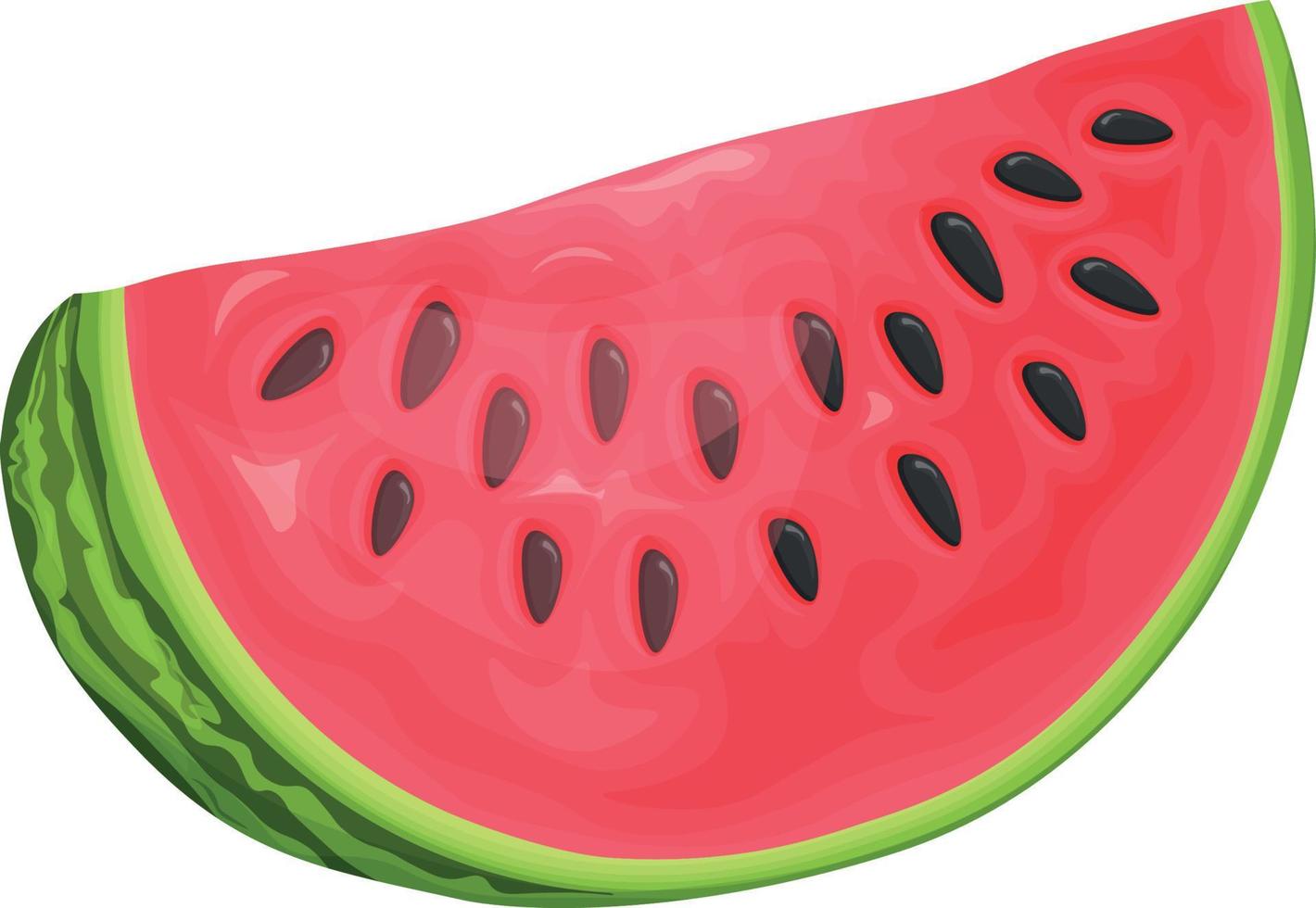 Watermelon. A piece of ripe watermelon. Sliced red ripe watermelon. Vector illustration isolated on a white background