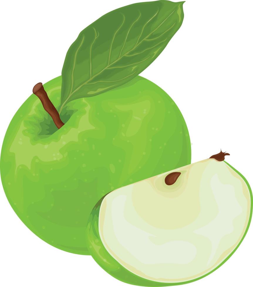 Apple. A ripe apple of green color. The apple is green with a green leaf. Ripe sweet fruit. Garden fruits. Vector illustration isolated on a white background