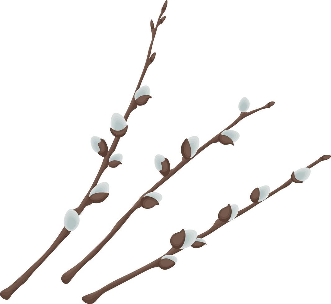sauce. tres ramas de sauce. ilustración de primavera que representa ramas de sauce. ilustración vectorial aislada en un fondo blanco vector