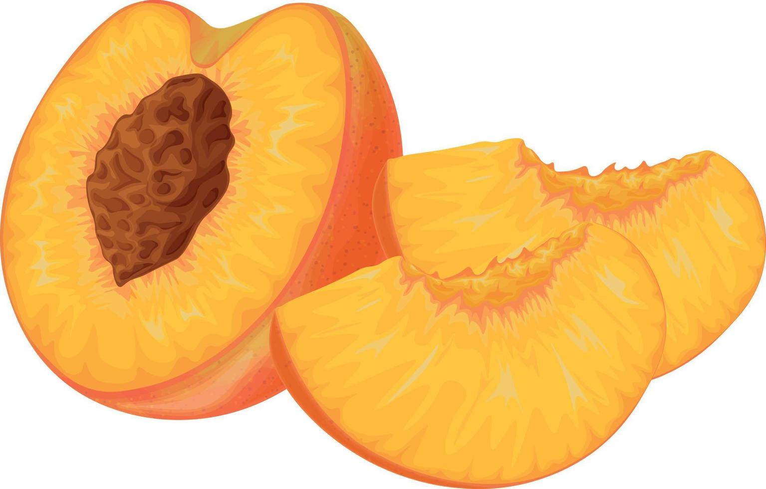 durazno. imagen de un melocotón. melocotón jugoso maduro con una piedra. durazno en el corte. fruta madura. producto vitamínico vegetariano. ilustración vectorial vector