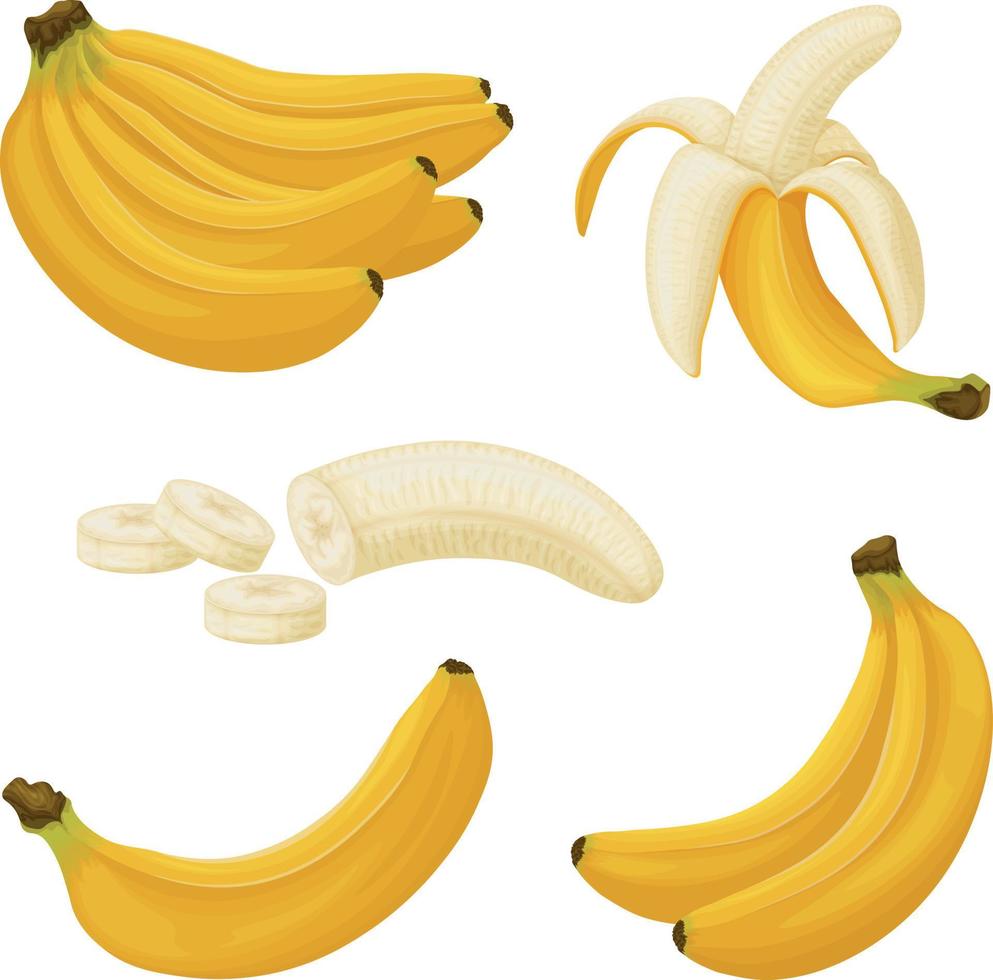 Bananas. Image of bananas. Bananas peeled and cut into pieces. Tropical fruit. Vegetarian product. Vector
