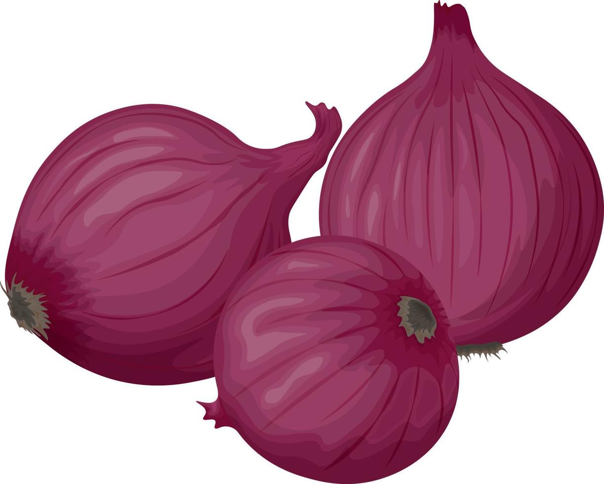 Unpeeled head of red onion. Vegan, vegetarian food. An ingredient for cooking.Bulbous red vegetable.A natural healing remedy. Vector illustration of a bow highlighted on a white background