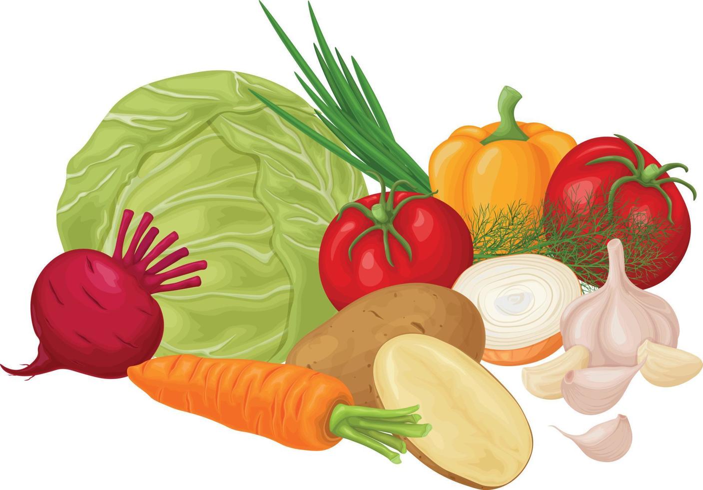 verduras. imagen de verduras como col tomate, cebolla, ajo y patatas y también zanahorias con remolacha. verduras maduras de la huerta. productos vitamínicos vegetarianos. vector. vector