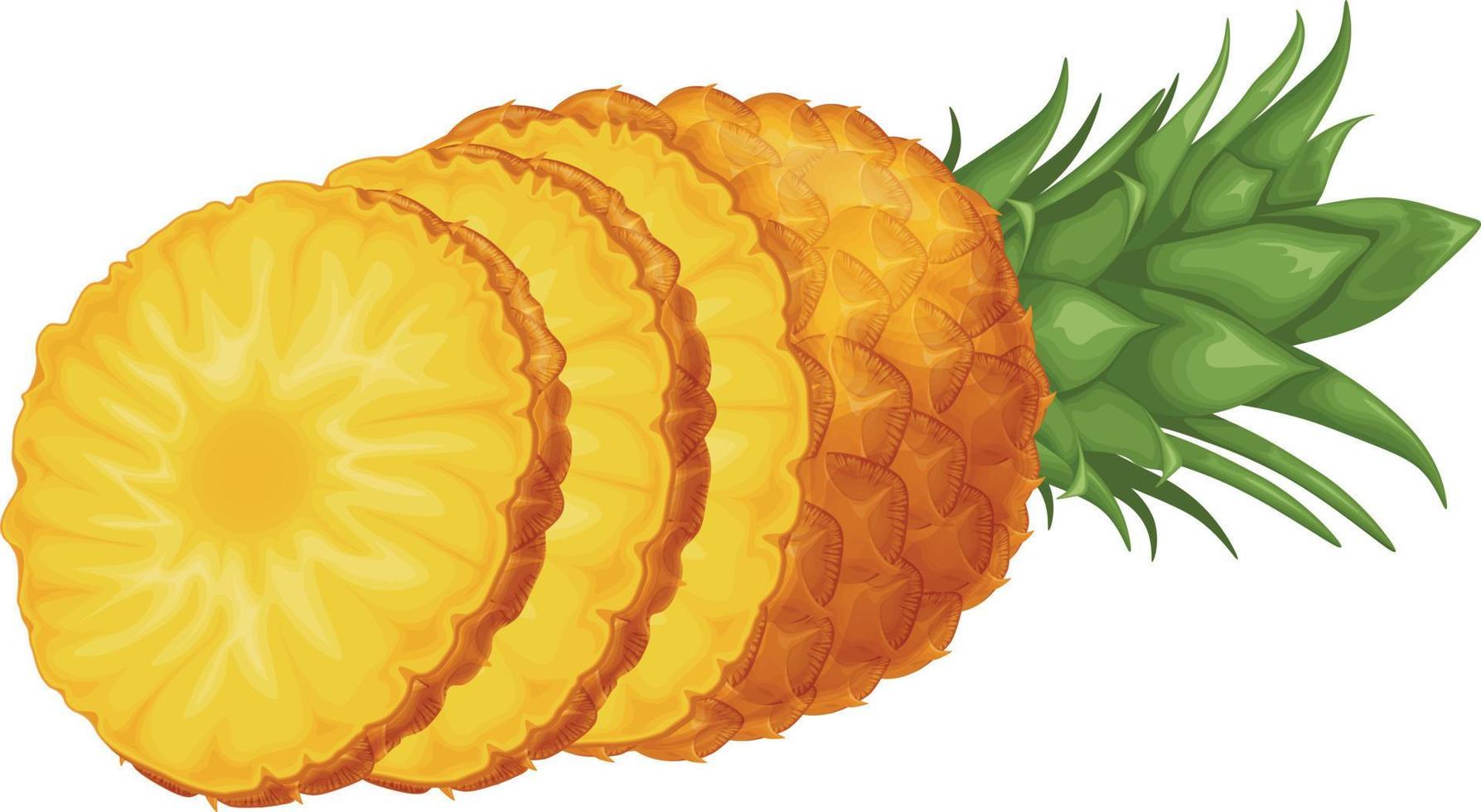 Pineapple. Image of pineapple cut into pieces. Pieces of ripe pineapple. Sweet tropical fruit. Vector illustration