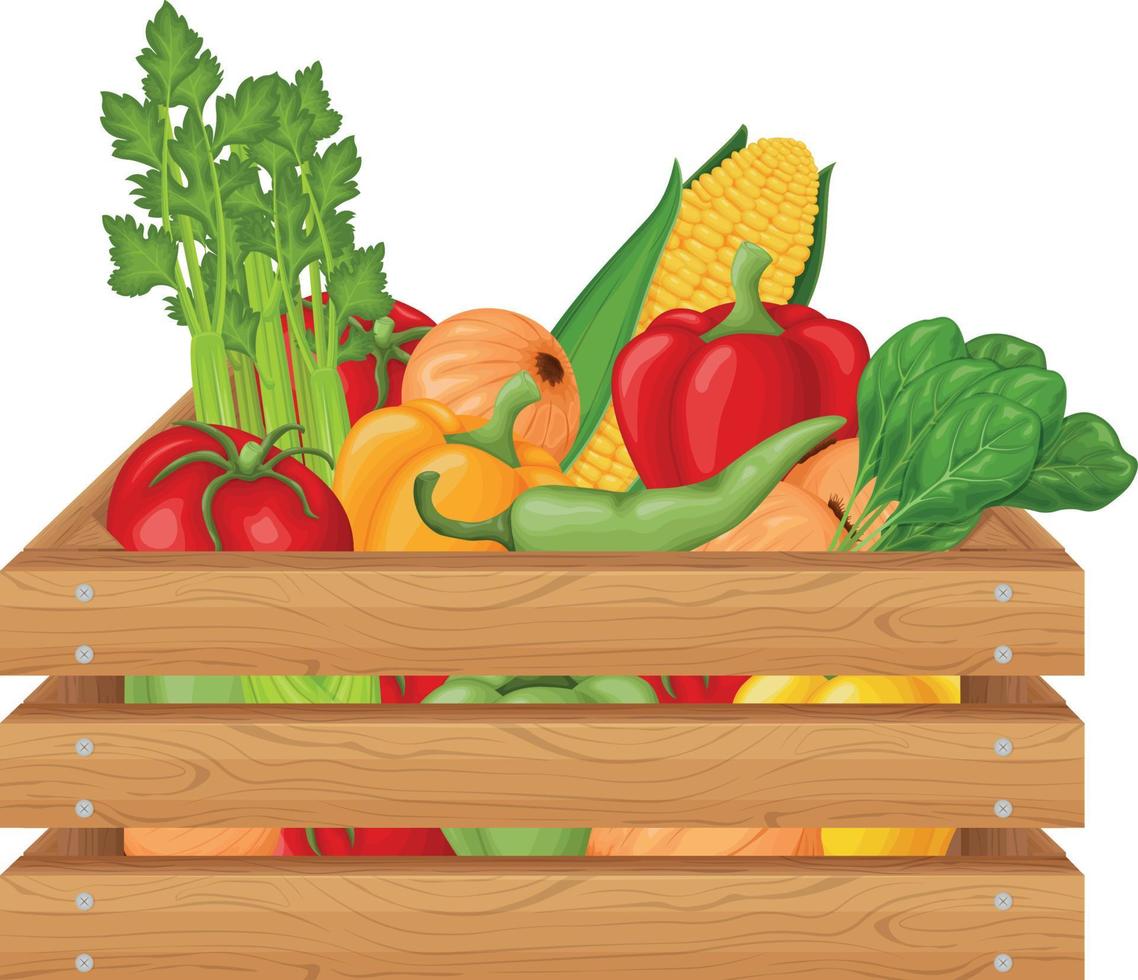 una caja con verduras como tomates, pimientos, cebollas, maíz y apio y hierbas. caja de madera con verduras. alimentos orgánicos de la huerta. vector