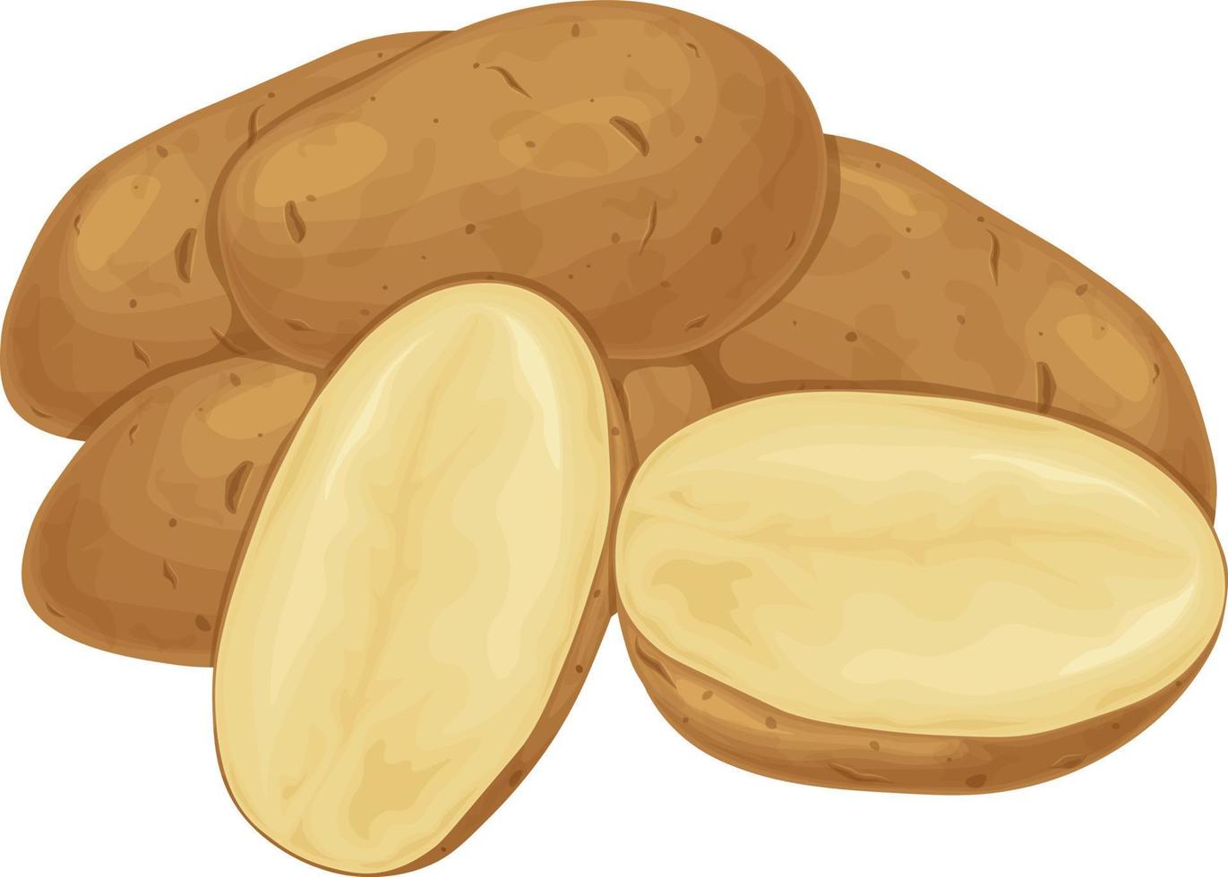 papa. tubérculos de patata. una verdura madura. producto vegetariano papas en rodajas ilustración vectorial aislada en un fondo blanco vector
