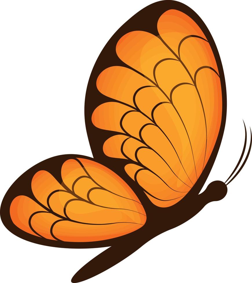 Butterfly. Image of a beautiful orange butterfly, side view. A bright moth. Vector illustration isolated on a white background