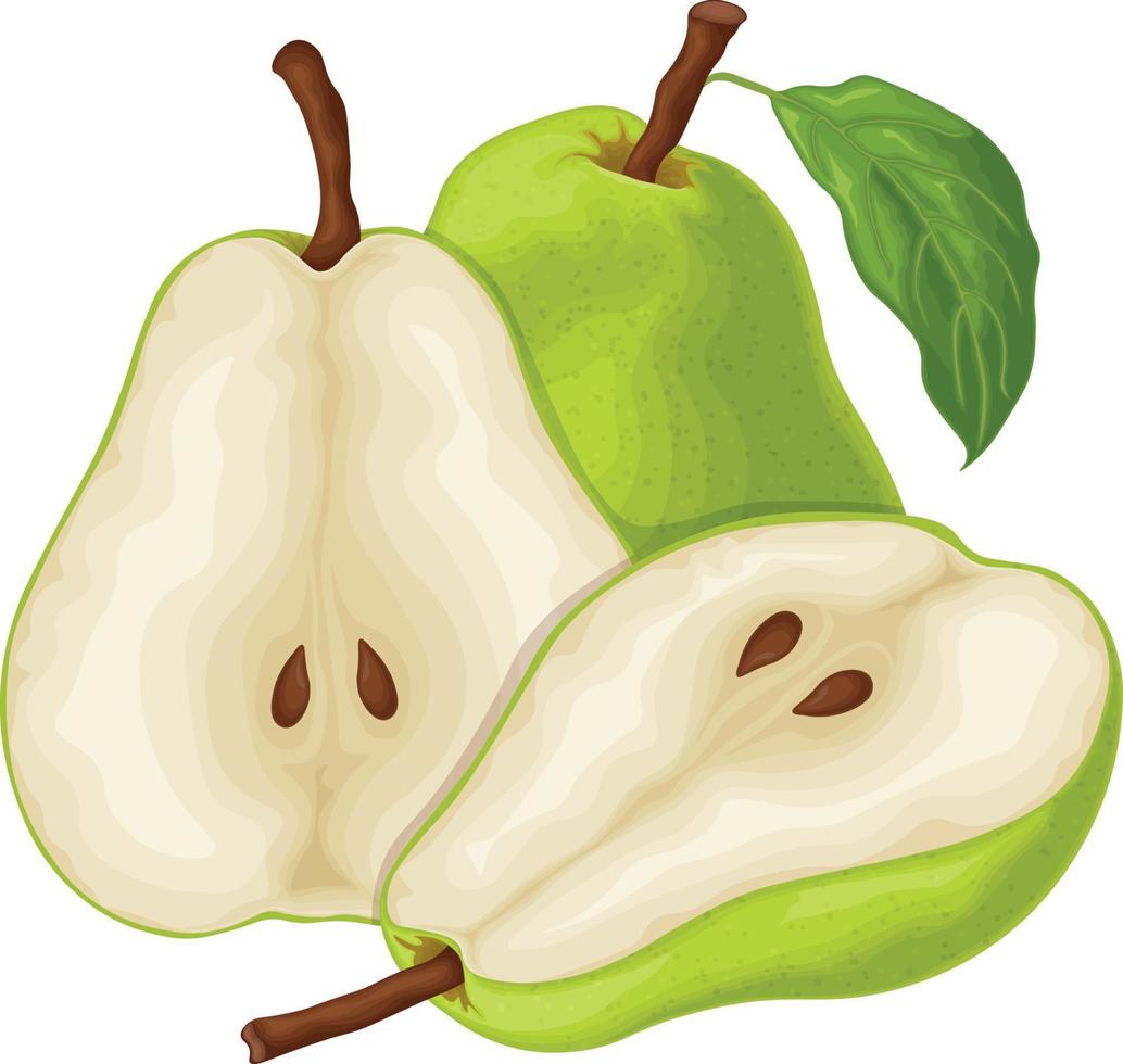 Pear. An image of a ripe green pear. A cut piece of pear. Sweet fruit from the garden. Vegetarian vitamin product. Vector illustration