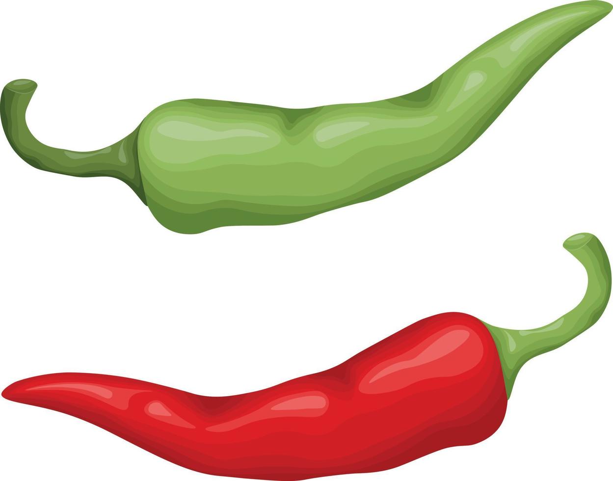 Chili pepper. Green and red chili peppers. Burning red pepper. A spicy vegetable. Vector illustration isolated on a white background