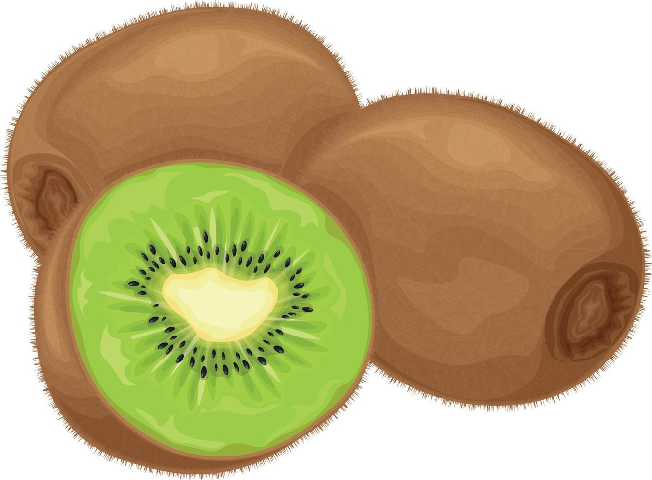 fruta de kiwi kiwi maduro. imagen de un kiwi maduro. fruta vitamínica productos vegetarianos orgánicos. ilustración vectorial aislada en un fondo blanco vector