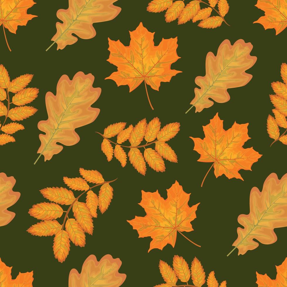 Seamless pattern. Autumn pattern with the image of yellow maple, oak and rowan leaves. Pattern with autumn leaves. The second illustration vector