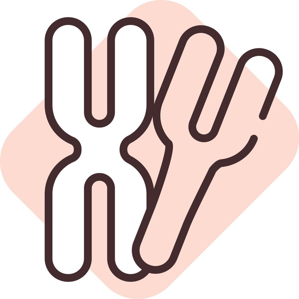 Pregnancy chromosome, icon, vector on white background.