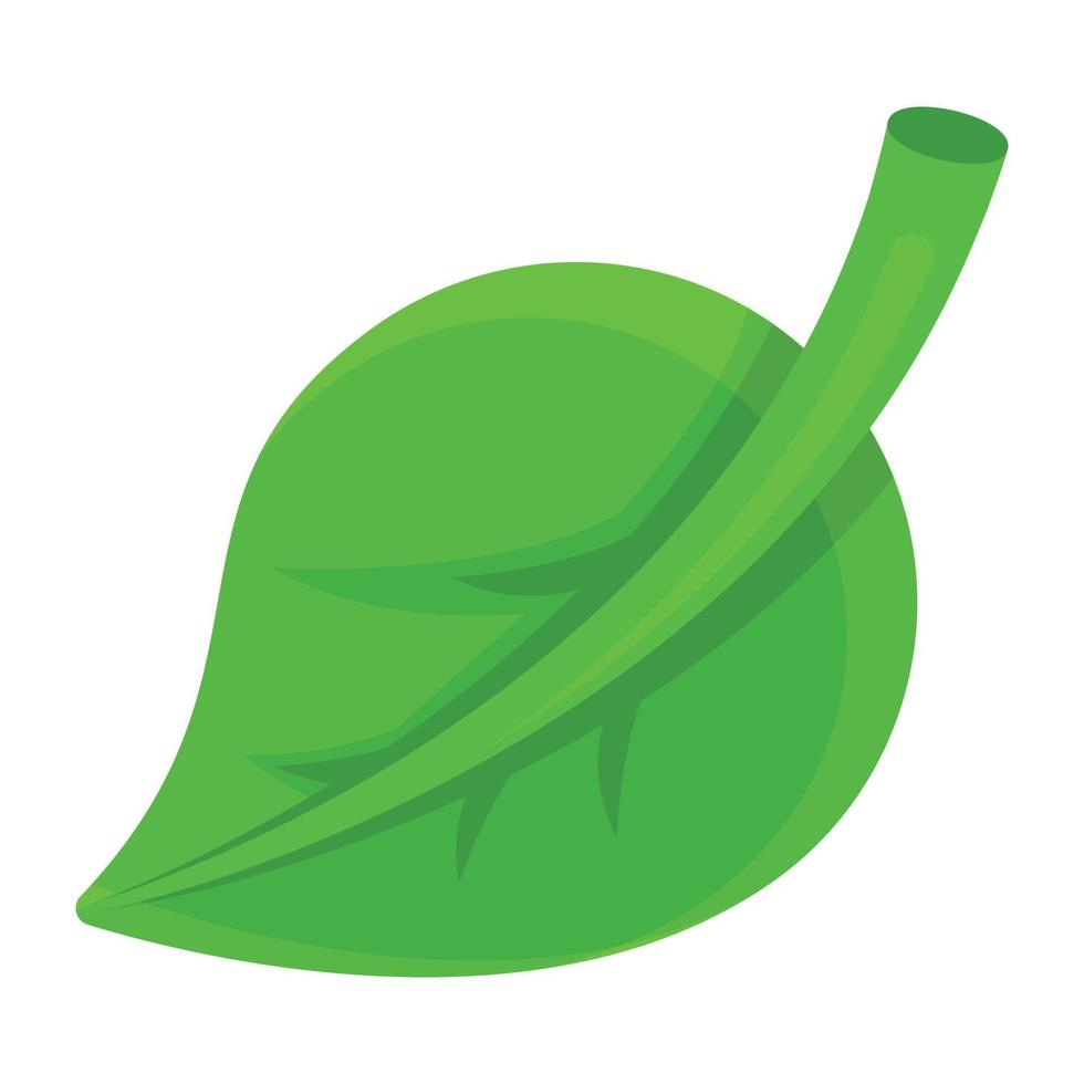 Trendy Leaf Concepts vector