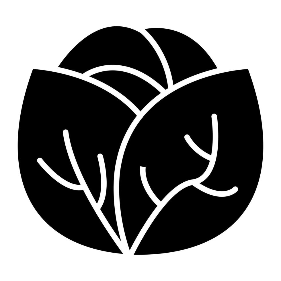 Cabbage Glyph Icon vector