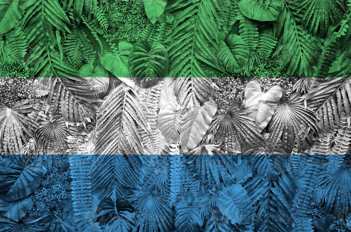 Sierra Leone flag depicted on many leafs of monstera palm trees. Trendy fashionable backdrop photo