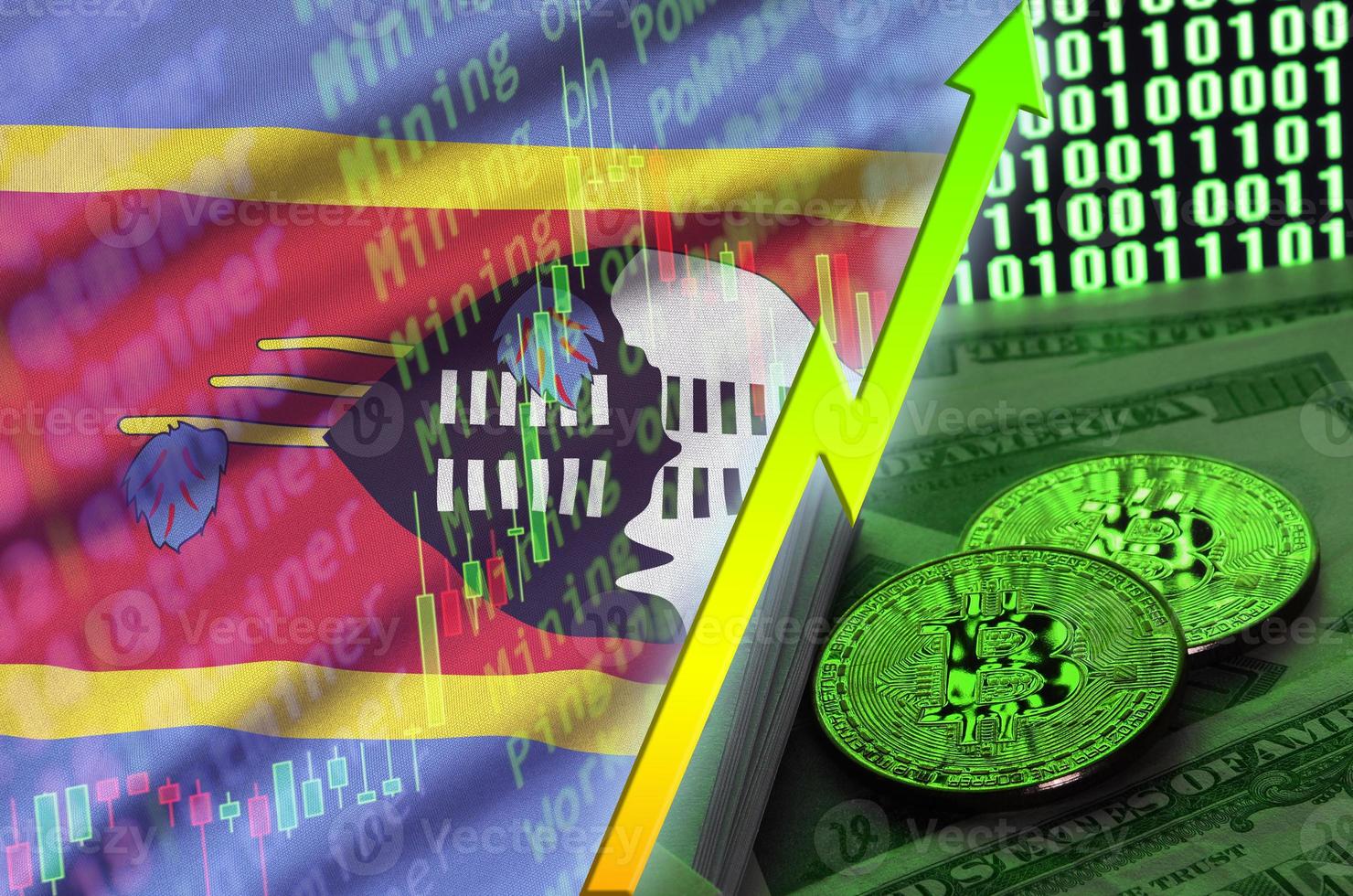 Swaziland flag and cryptocurrency growing trend with two bitcoins on dollar bills and binary code display photo