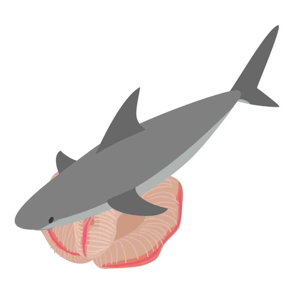vector isométrico del icono del mundo submarino. gran tiburón gris y hermoso arrecife de coral