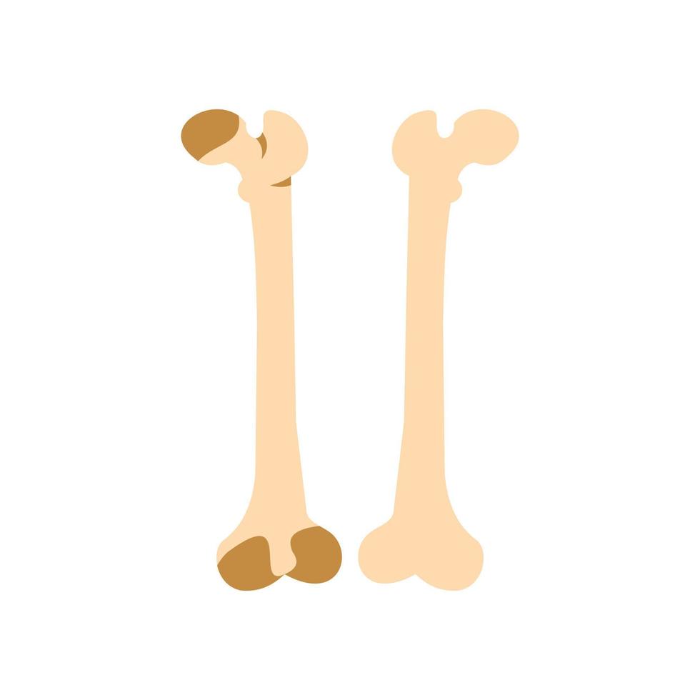 Bones icon, flat style vector