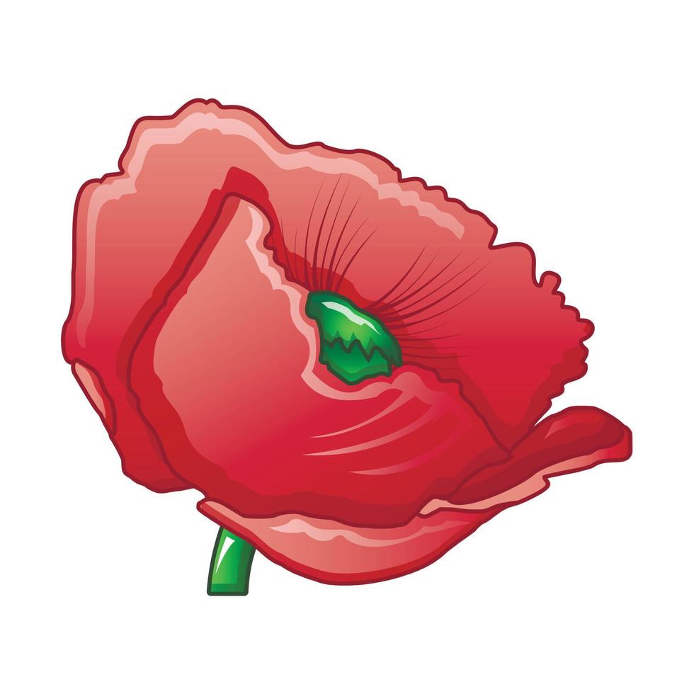 Opium poppy icon, cartoon style vector