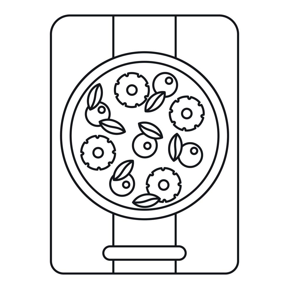 Pizza with pineapple and basil icon, outline style vector