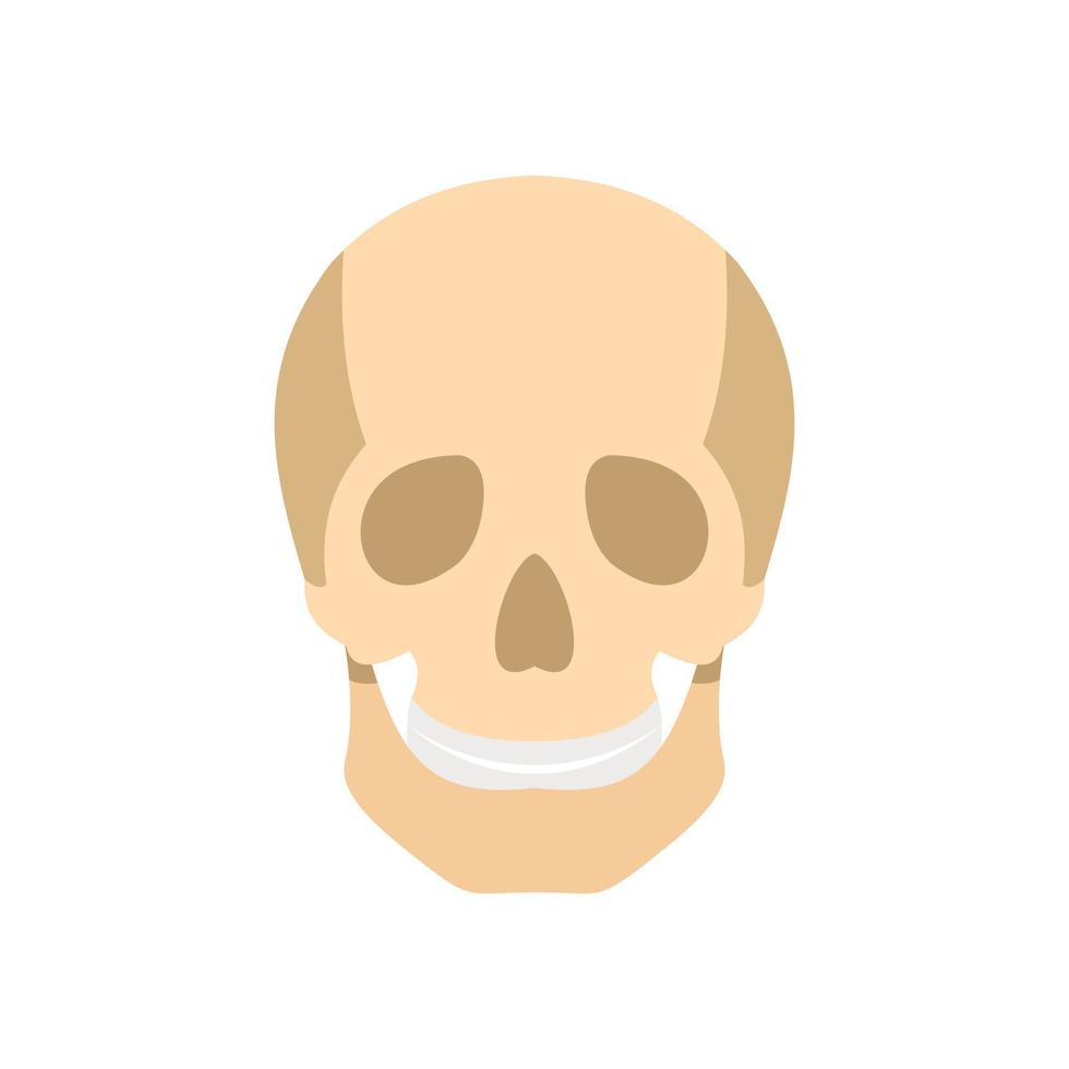 Skull icon, flat style vector