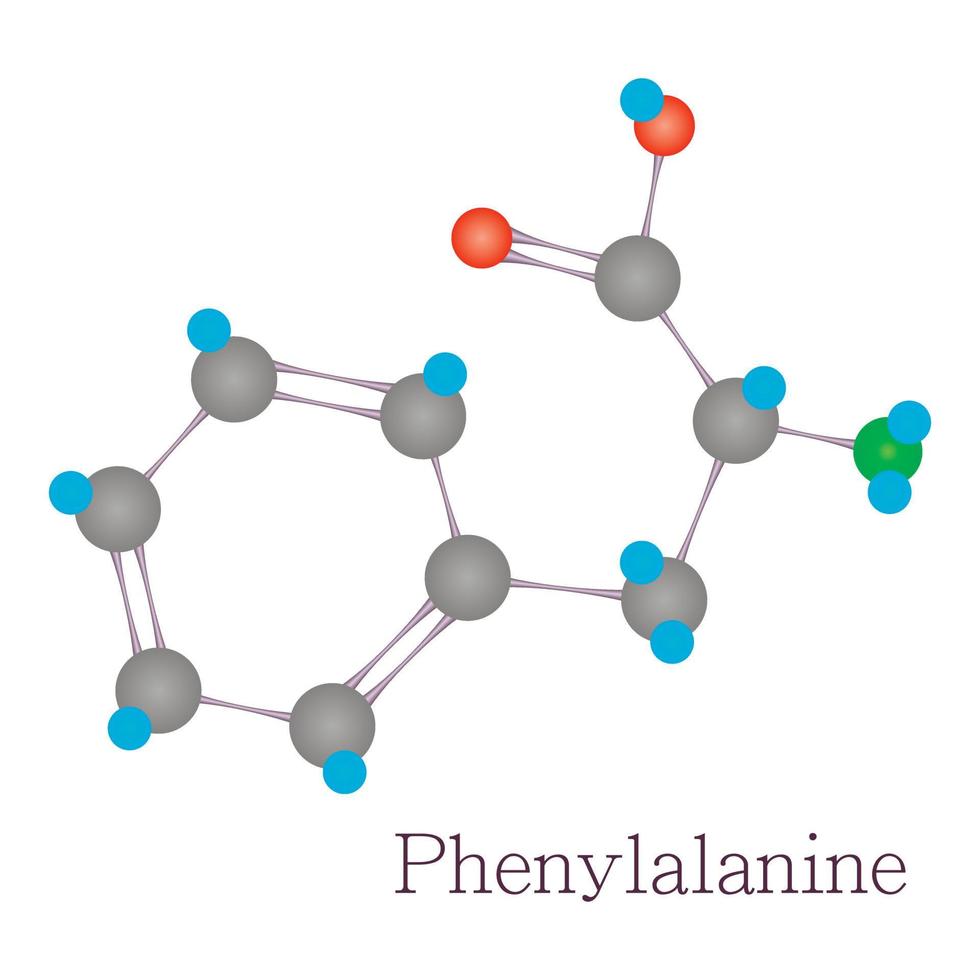 fenilalanina 3d molécula química ciencia vector