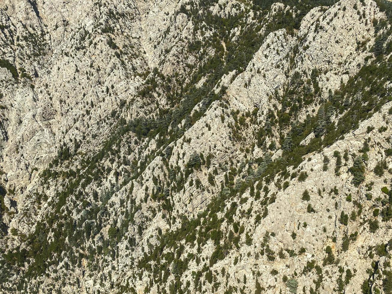 Aerial top view of lush green trees from above in tropical forest in national park and mountain or hill in summer season photo