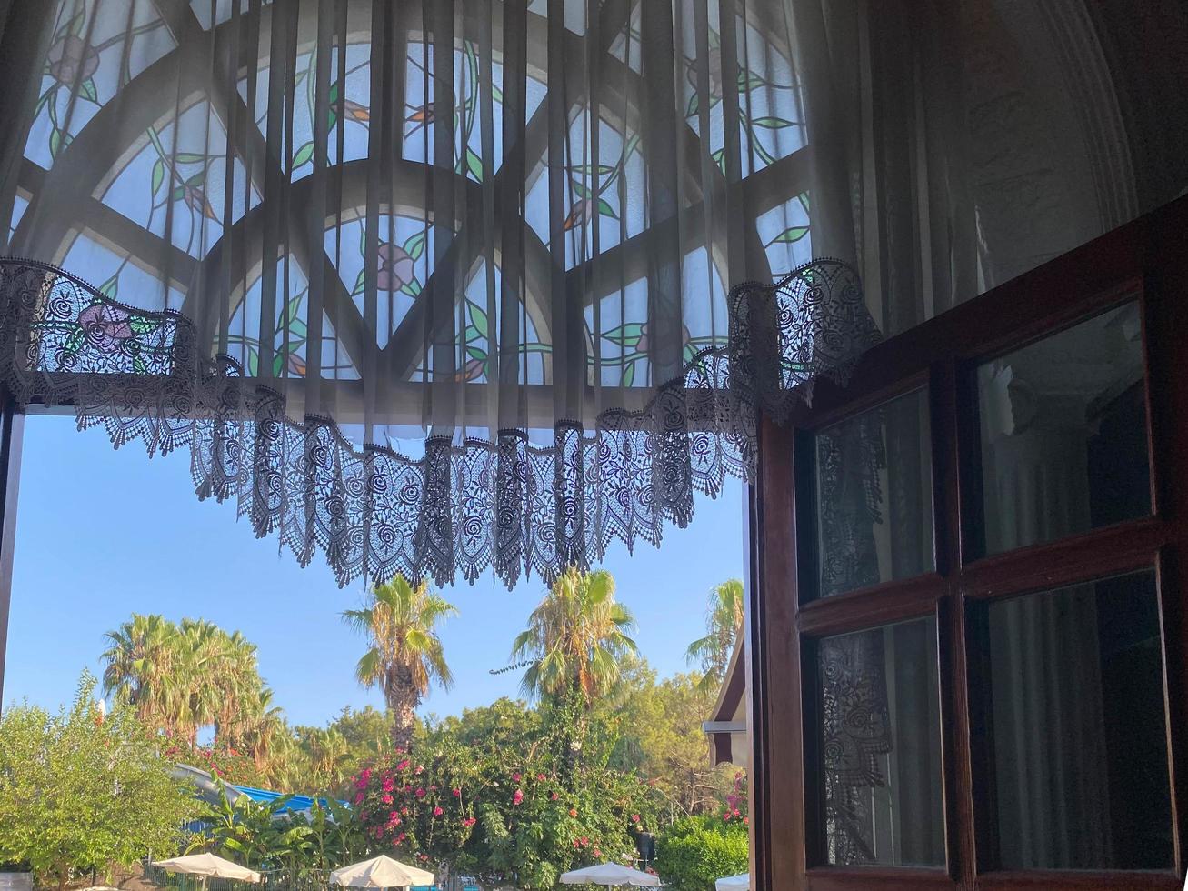 Views from window on palm trees and the sea photo