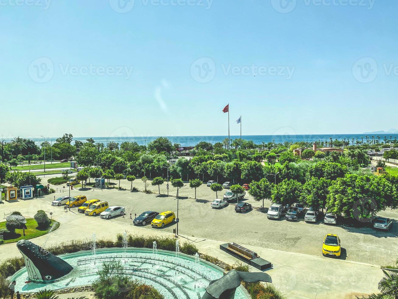 view of the city from above. exotic, tall, green trees in the city center. palm forest, amusement park in the city. against the background of the blue world photo