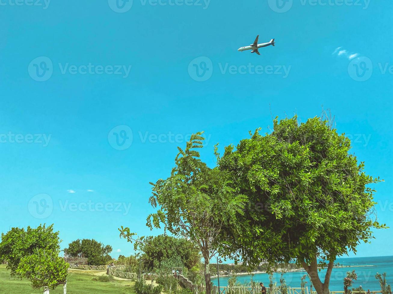 the plane flies through the sky. air travel. the plane carries tourists to the sea. seaside resort. the plane flies in the sky. big green trees nearby photo