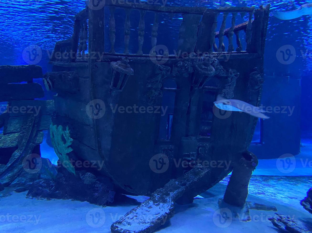 Old wooden boat sank in the deep sea in Maldives photo