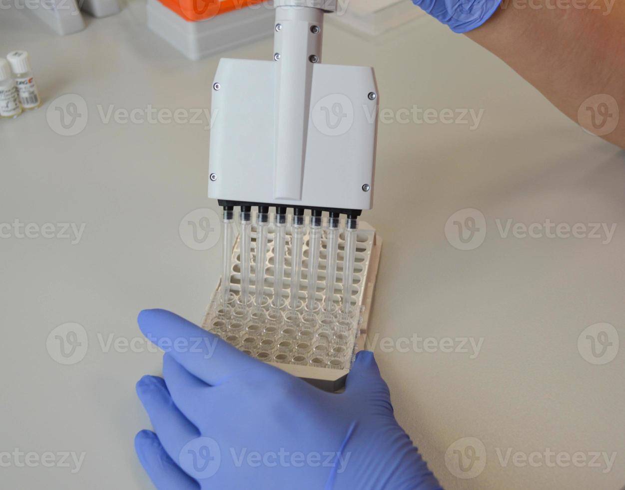 Scientist in a medical laboratory with a dispenser in his hands is doing an analysis photo