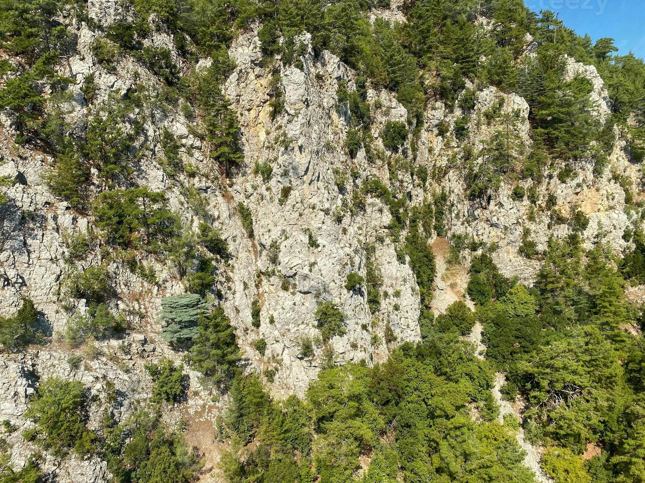 Forest and tree landscape texture abstract background, Aerial top view forest atmosphere area, Texture of forest view from above, Ecosystem and healthy ecology environment concepts photo