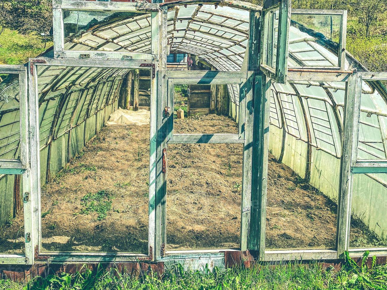 invernadero casero en el jardín de los residentes de verano. agricultura de bricolaje. invernadero de viejas ventanas y puertas. madera vieja en el marco del invernadero foto