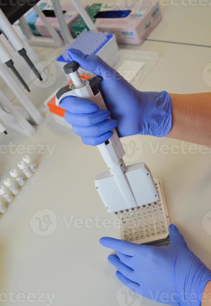 a doctor in blue, disposable, nitrile gloves performs a laboratory analysis by an immunoassay method. mechanical laboratory diagnostic pipette photo