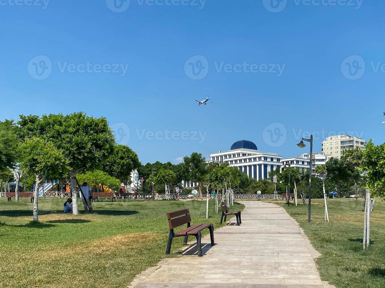 New beautiful modern park with green plants, tropical trees and bushes. Resting place in the city photo