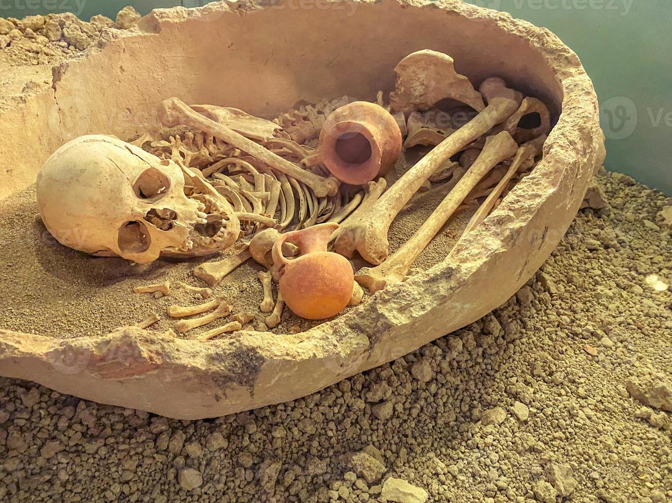 the bones are in a basket in the museum. an exhibit on an excursion, a demonstration of ancient burials in the country. bones and skull of ancient man photo