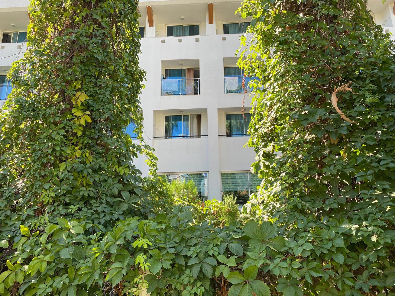 A modern resort building with white walls set against a clear sky backdrop. There is a garden with trees in front of the balcony. Minimalistic tropical resort vacation concept photo