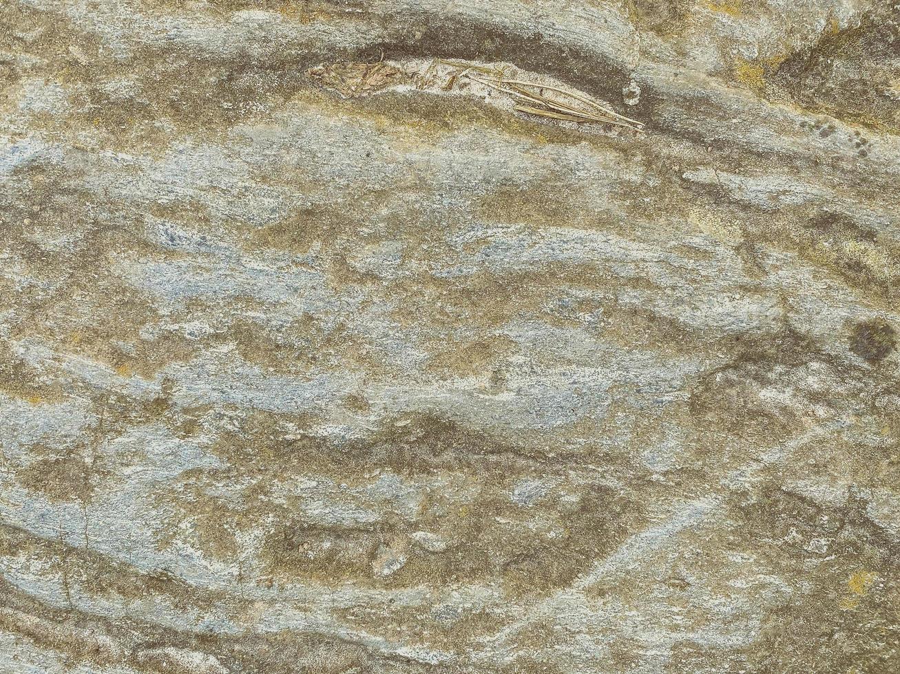 gray, voluminous texture with green patches with mold. the texture is natural, natural paint, shaped over time. furrows in the paint, bulging material photo